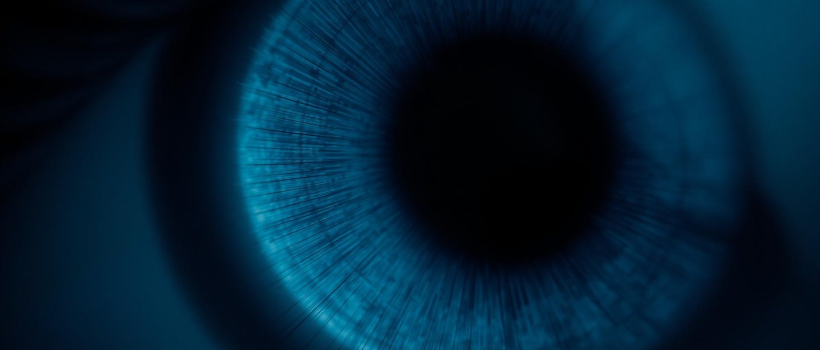 Macro panorâmica de uma íris em tons de azul profundo